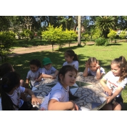 Paseo a la Quinta del Colegio Medico